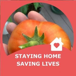 Meet your Posher, Beatrice